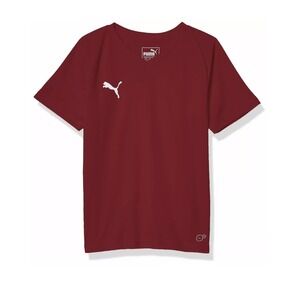 NWT Puma Liga Core VNeck Short Sleeve Soccer Jersey Size Large Lg Boys 703542-09